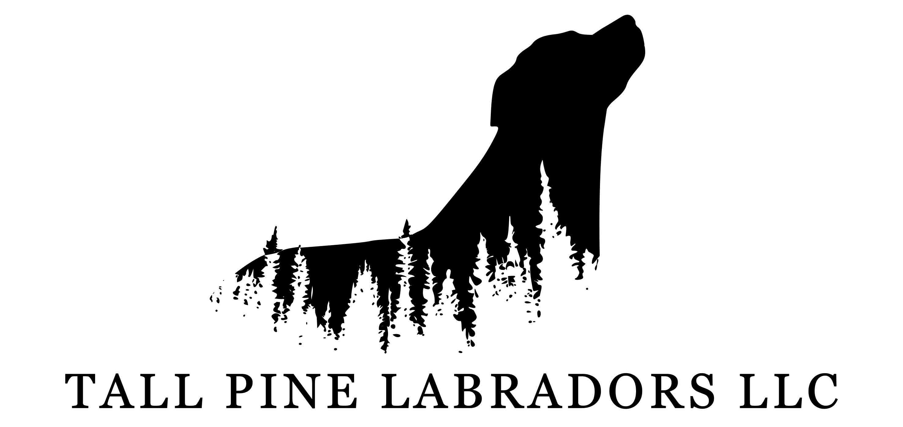 Tall Pine Labradors LLC